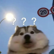 单向奔赴 自寻死路