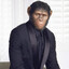 Jamel