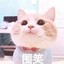 沉沉