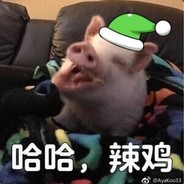 我是韩佳辉的爸爸