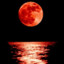 BLOODY MOON