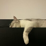 那些未眠的夜晚