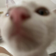 怎么这么难打啊啊啊