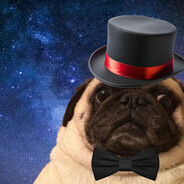 The Pug
