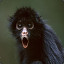 CrAzYmOnKeY