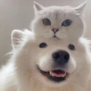 宝贝爱吃红烧鱼