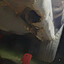 Rotting Subaru Pinch Weld Sills