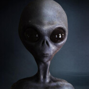 Alieno - steam id 76561199023428608