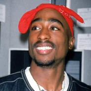 yrodec prime - steam id 76561199248489625