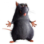 Крыссовет🐭