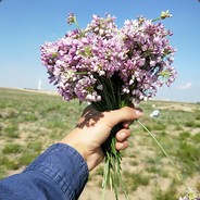 总有刁民来害朕