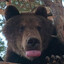 mlem :p