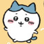 今天是幸运猪