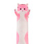 Long Cat