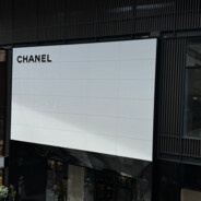 原来你也喜欢雪