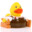PATO CARPINTERO
