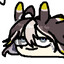 dorija sea slug