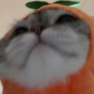 杀光世界所有绿茶婊