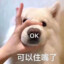 绝云椒椒