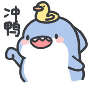 收货人是大呲花