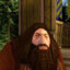 PS1 Hagrid