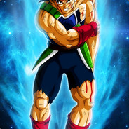 bardock 565560