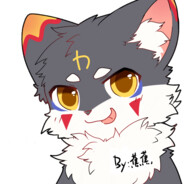 Astralis的cadian本人