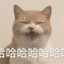 一口赵