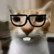 造诣恩施-Lin博文