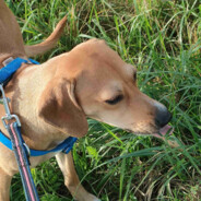 melborp - steam id 76561198136139780