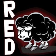 RED - steam id 76561197968729527