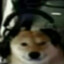 kooz03