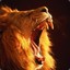 Andrey..zz..6