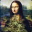 Stoner Lisa