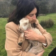 好男人不止曾小贤〃