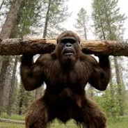 BigFoot
