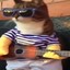 cool ukulele cat
