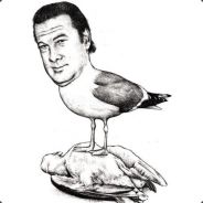 Seagull's avatar