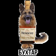 мемы гибридов. шлакоблокунь пельмышка. шлакоблокунь пиволга. свинера. бухтар.