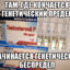 Генетический бес