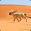 Desert Fox