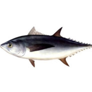 TUNA