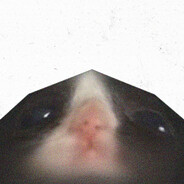 Etozhe_UTKA