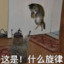 云无心以出岫