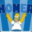 HOMER