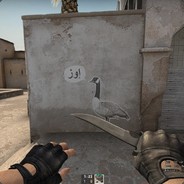 Гусь с Dust 2