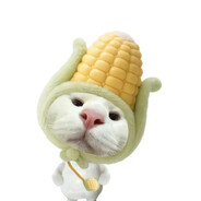 nono