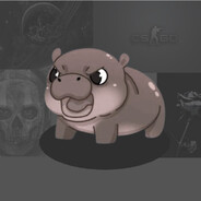 Hippo