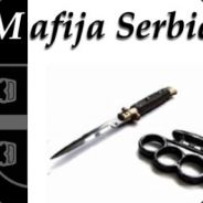 Srpski Vojnik - steam id 76561197961875754