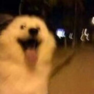 打的不好就是捣了